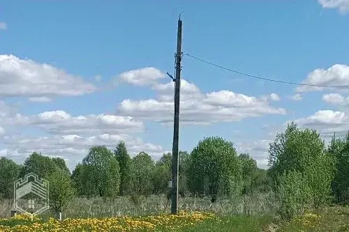 Участок в Новгородская область, Новгородский район, Савинское с/пос, ... - Фото 2