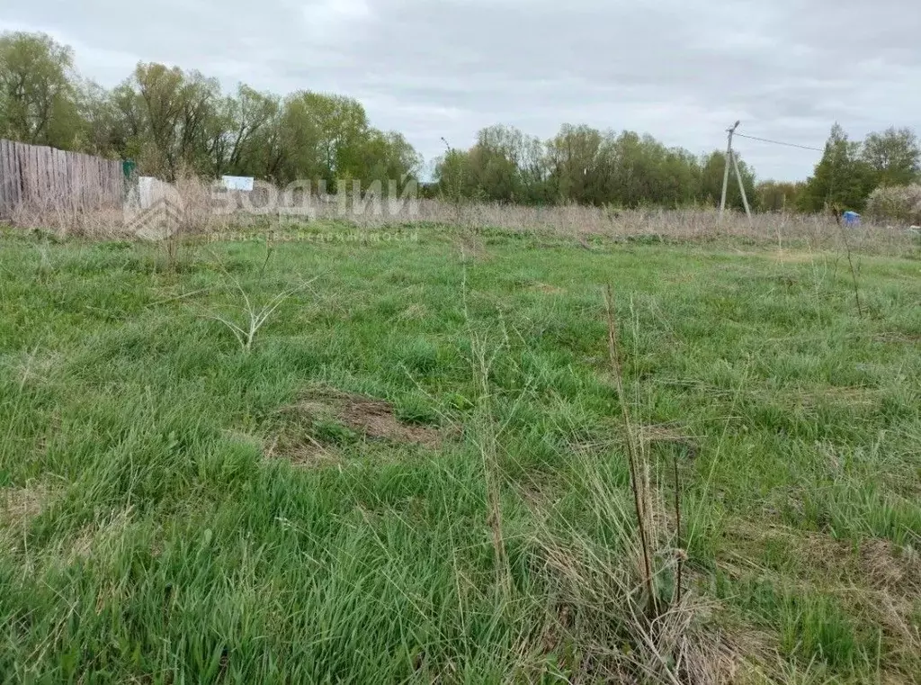 Участок в Чувашия, Чебоксарский муниципальный округ, с. Икково ул. ... - Фото 1