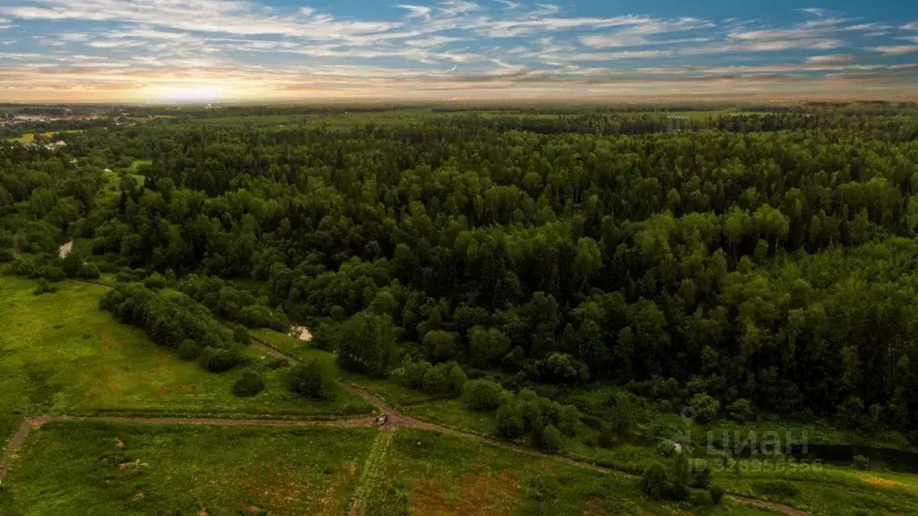 Участок в Московская область, Щелково городской округ, д. Вторая ... - Фото 1
