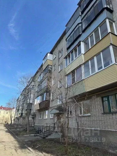 2-к кв. Курганская область, Курган ул. Красина, 73А (42.0 м) - Фото 2