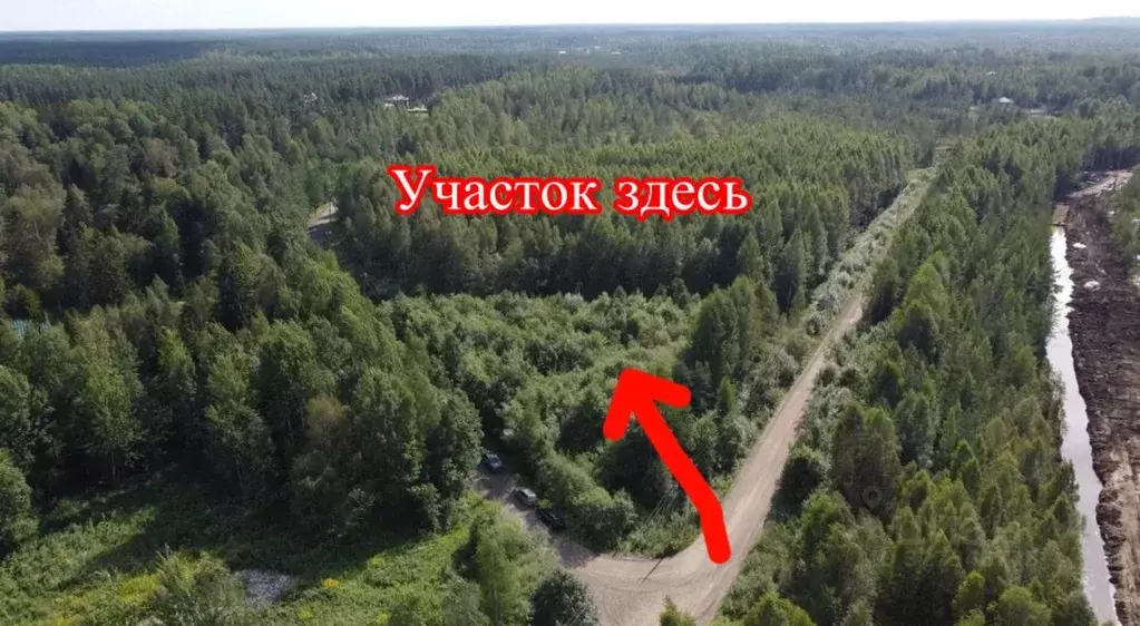 Участок в Ленинградская область, Всеволожское городское поселение  ... - Фото 1