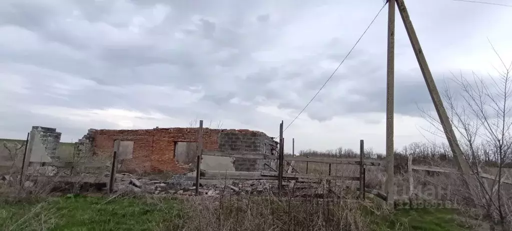 Участок в Ростовская область, Родионово-Несветайский район, Волошино ... - Фото 2