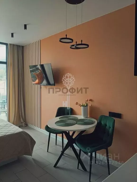 Студия Крым, Алушта ул. Западная, 4к2 (27.9 м) - Фото 2