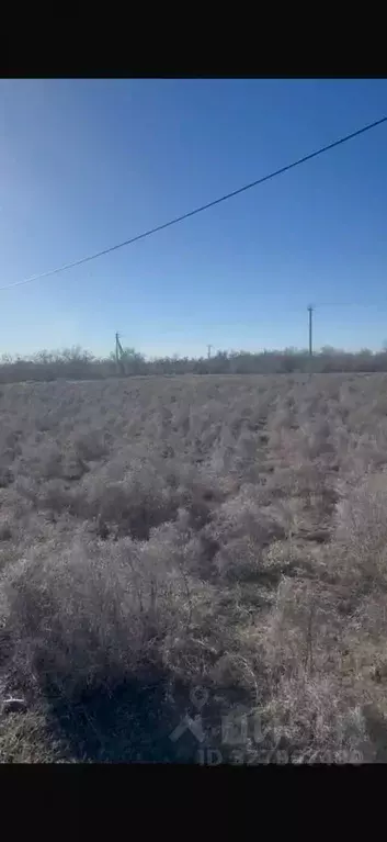 Участок в Астраханская область, Приволжский район, с. Яманцуг  (5.86 ... - Фото 2