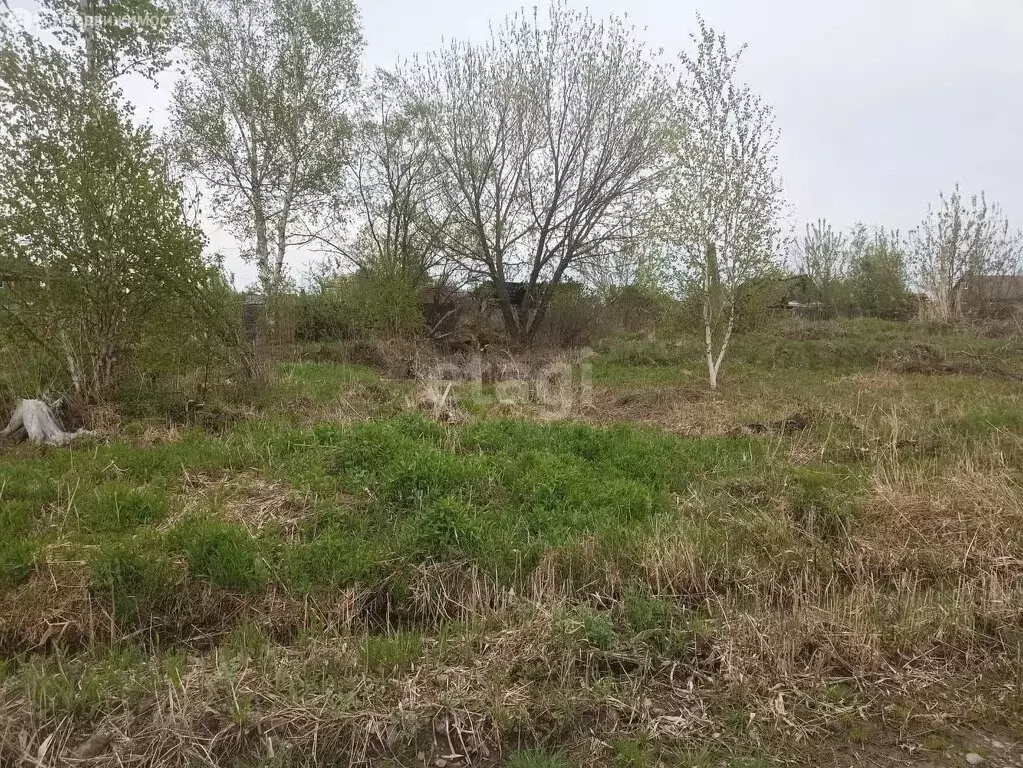 Участок в Хабаровский район, село Мирное (6.6 м) - Фото 1
