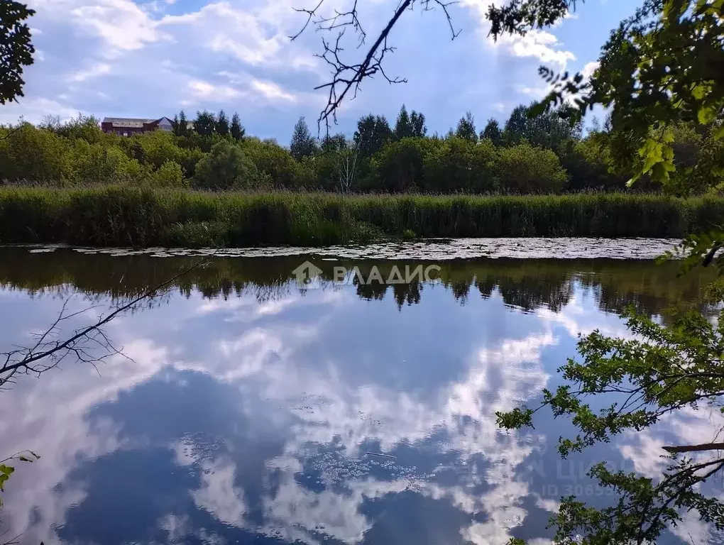 1-к кв. Московская область, Клин Майданово мкр, 1к2 (31.0 м) - Фото 1