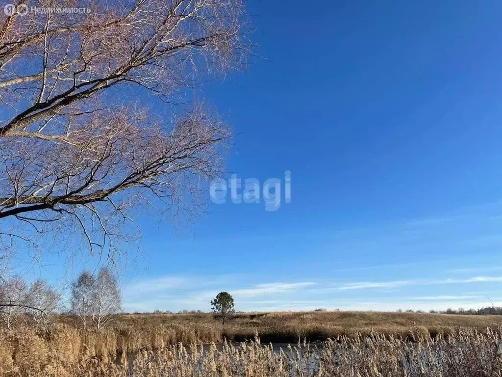 Участок в Искитимский район, село Быстровка (20.1 м) - Фото 1