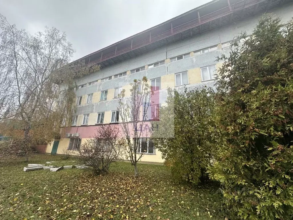 Торговая площадь в Московская область, Раменский муниципальный округ, ... - Фото 1