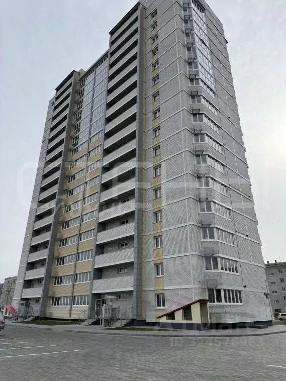 1-к кв. Амурская область, Благовещенский район, с. Чигири ул. ... - Фото 1