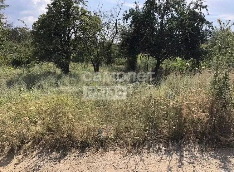 Участок в Адыгея, Майкопский район, Кировское с/пос, Северо-Восточные ... - Фото 2