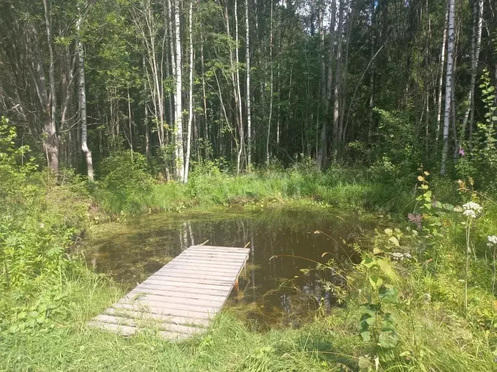 Дом в Вологодская область, Лиана садоводческое товарищество  (40 м) - Фото 0