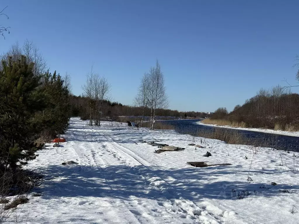 Участок, 8 сот., поселения (ижс) - Фото 2