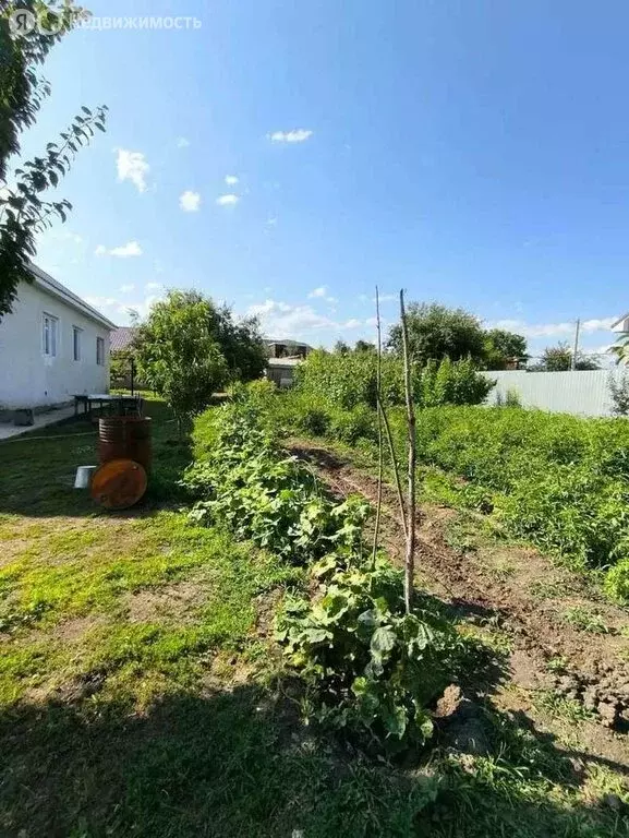 Участок в село Александровка, Рабочая улица, 12 (6.91 м) - Фото 1