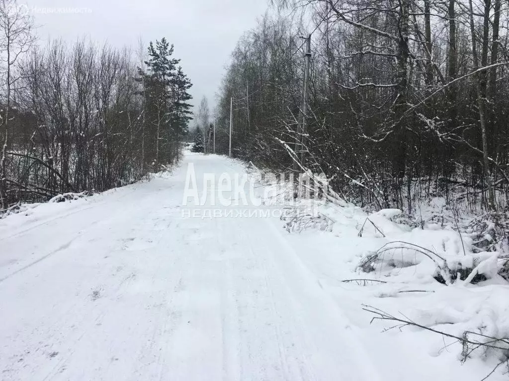 Участок в Приозерский район, Ларионовское сельское поселение, посёлок ... - Фото 0