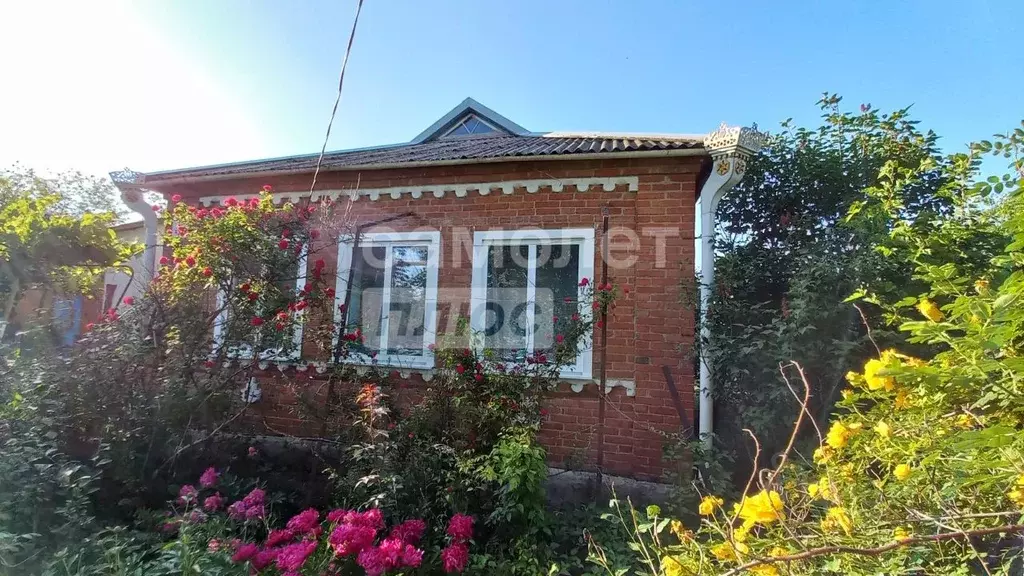 Дом в Краснодарский край, Брюховецкий район, Свободненское с/пос, с. ... - Фото 2