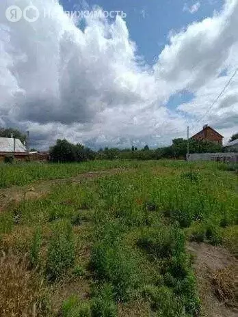 Участок в Тюменская область, Нижнетавдинский муниципальный округ, село ... - Фото 2