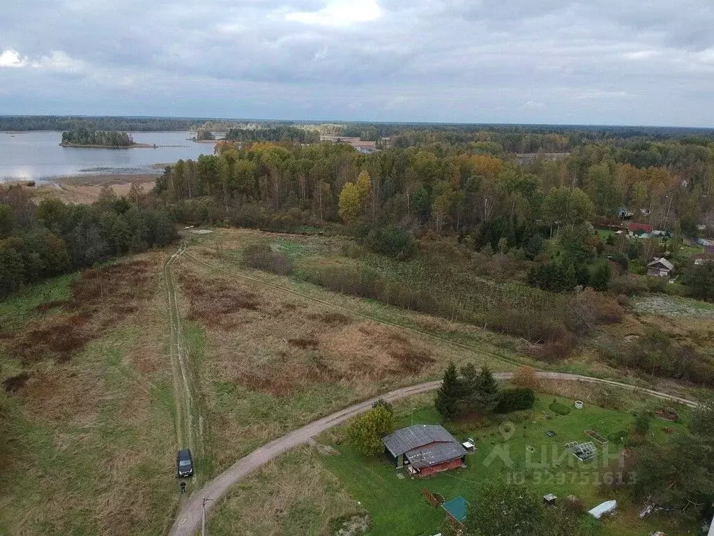 Участок в Ленинградская область, Приозерский район, Ларионовское ... - Фото 1