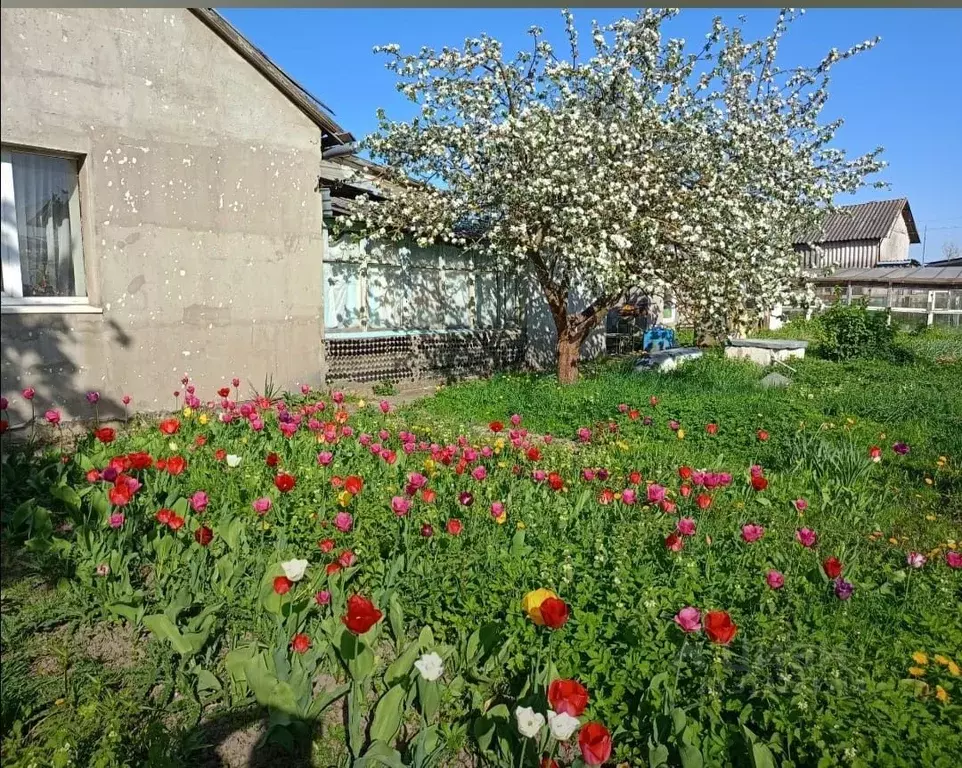 Дом в Калининградская область, Полесский муниципальный округ, пос. ... - Фото 0