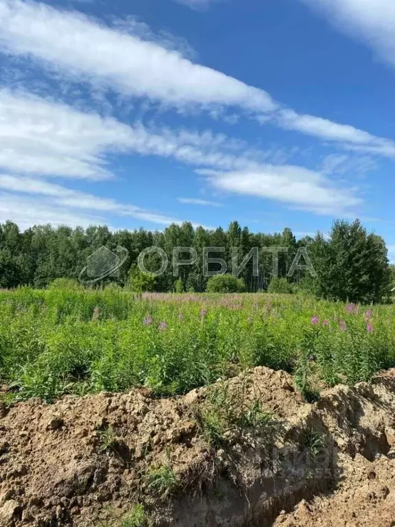 Участок в Тюменская область, Нижнетавдинский район, Березка СНТ  (7.0 ... - Фото 0