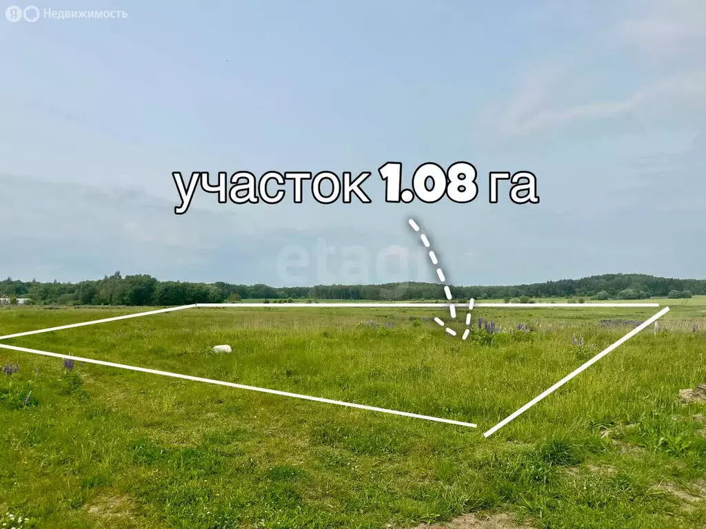 Участок в Калининградская область, Зеленоградский муниципальный округ, ... - Фото 1