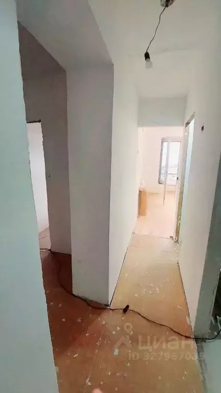 2-к кв. Приморский край, Михайловский муниципальный округ, ... - Фото 2