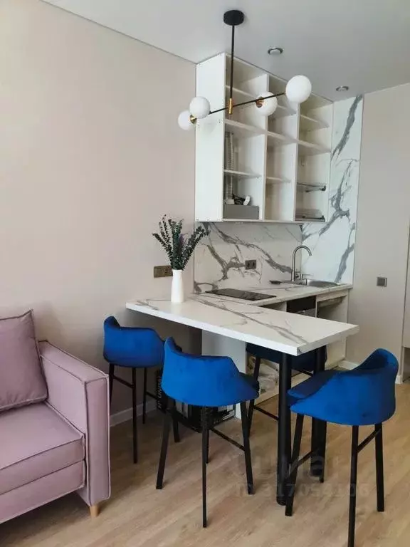 Студия Краснодарский край, Сочи ул. Искры, 66/9к6 (20.0 м) - Фото 1