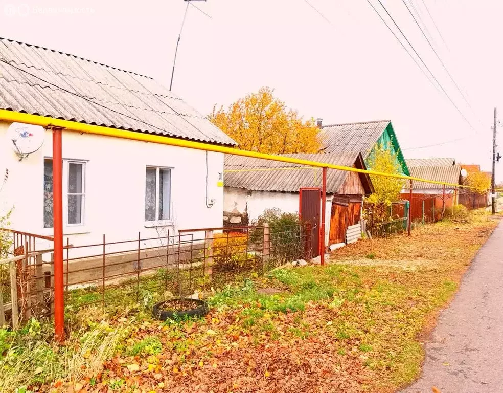 Дом в Мичуринск, Заречная улица (43.5 м) - Фото 1