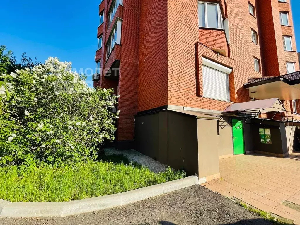 Торговая площадь в Московская область, Черноголовка Центральная ул., ... - Фото 2