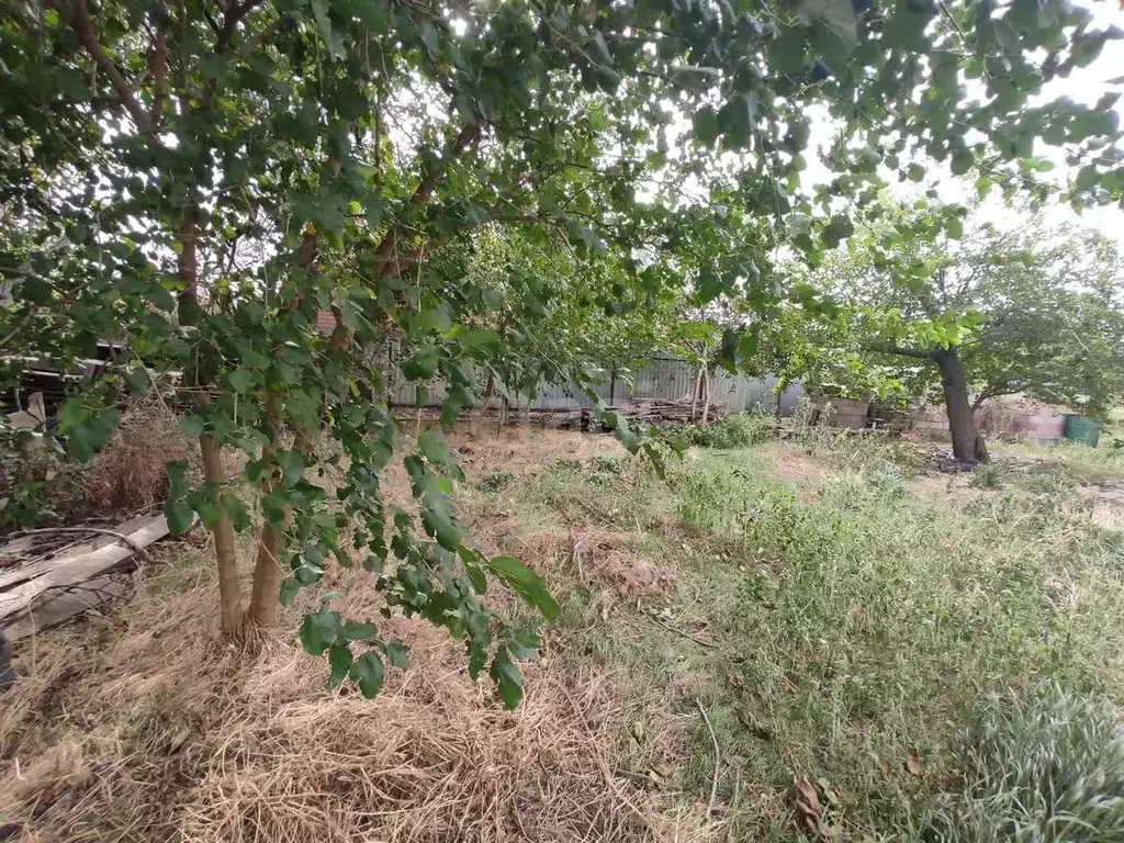 Участок в Краснодарский край, Ейский район, Кухаривское с/пос, с. ... - Фото 1