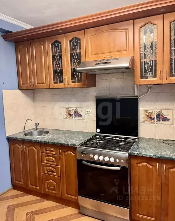 1-к кв. Калининградская область, Калининград ул. Генерала Толстикова, ... - Фото 2