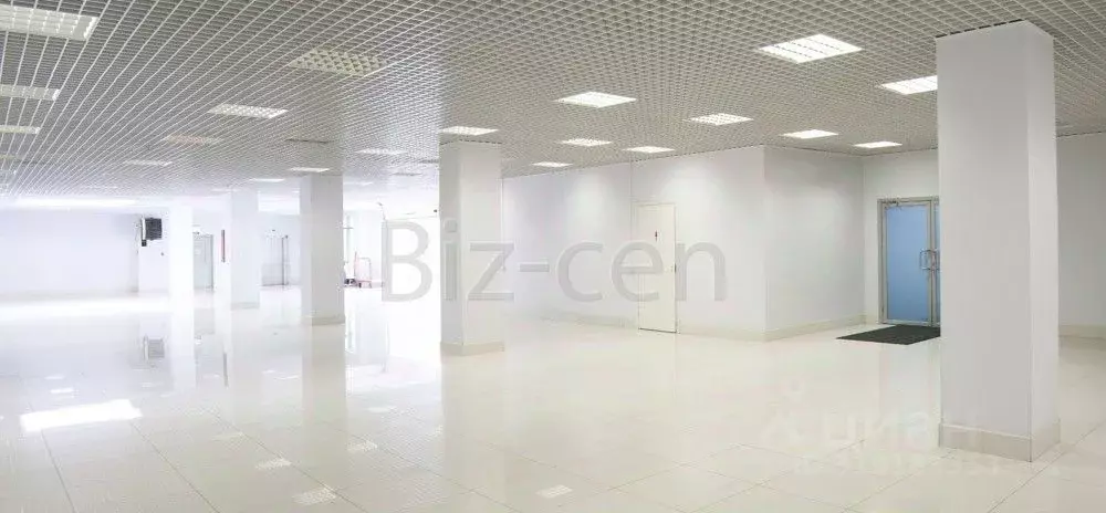 Офис в Санкт-Петербург Северный просп., 5 (33 м) - Фото 2