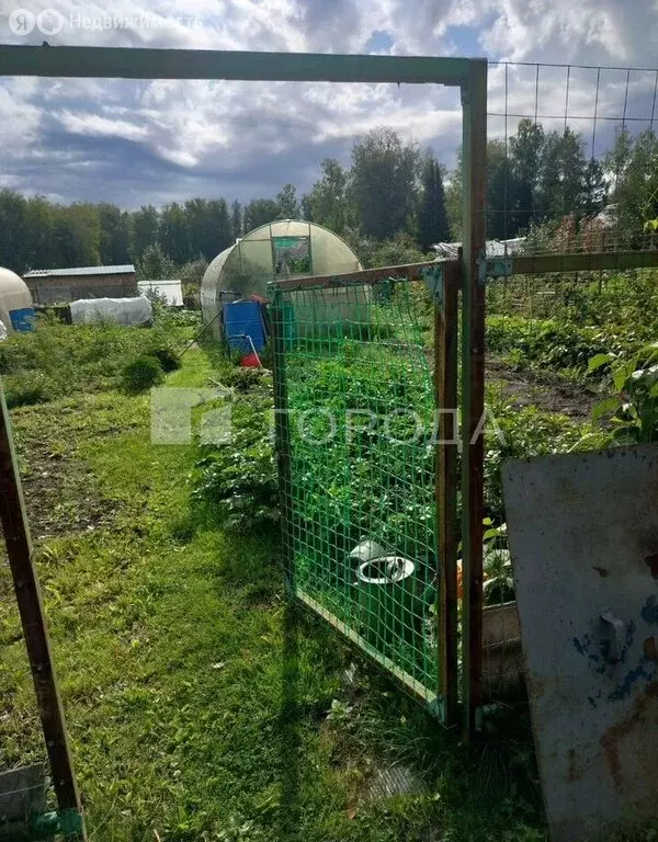 Участок в Новосибирск, НМЗ Искра (6.5 м) - Фото 2