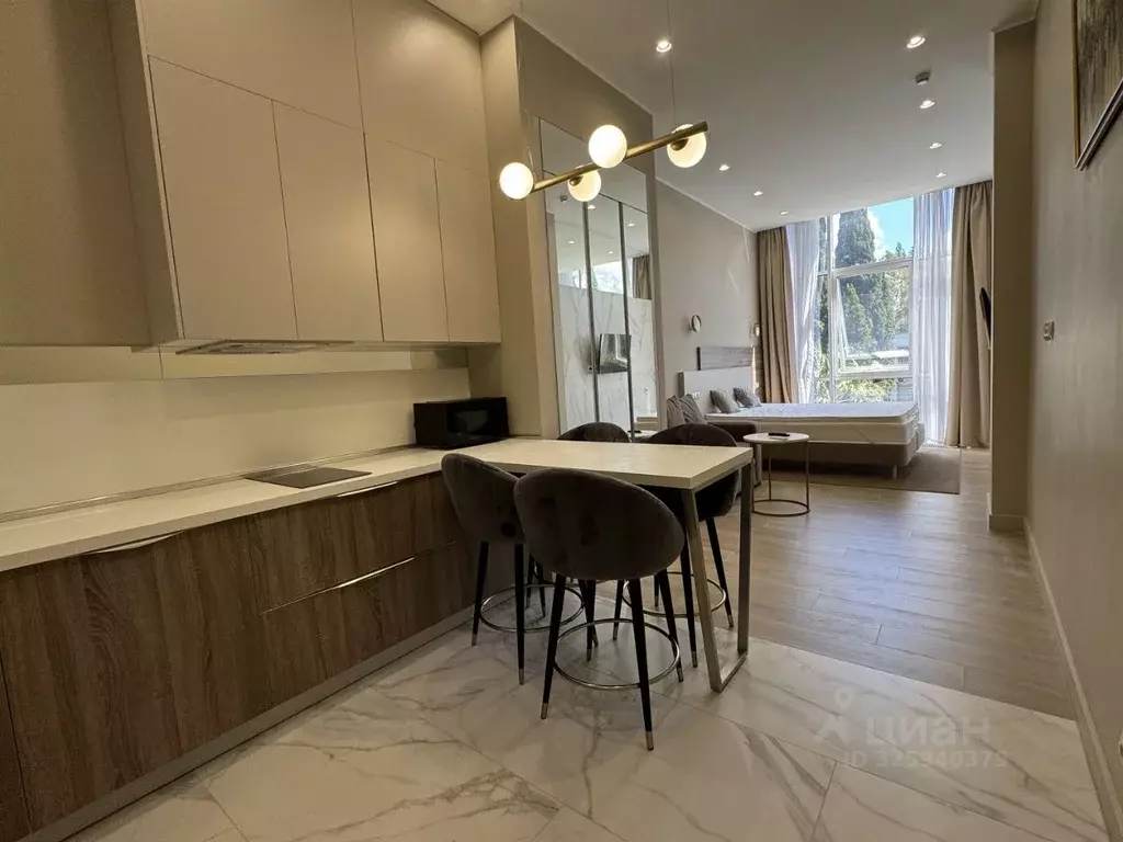 1-к кв. Краснодарский край, Сочи Светлана мкр, ул. Учительская, 5 ... - Фото 2