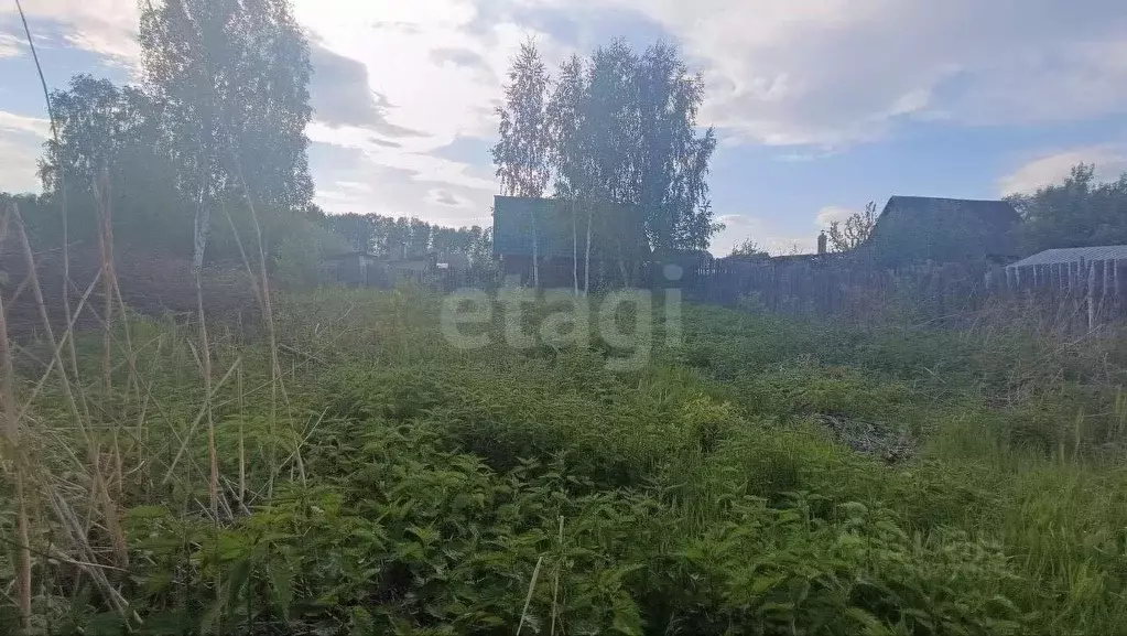 Участок в Челябинская область, Кыштым пл. Карла Маркса (6.1 сот.) - Фото 1