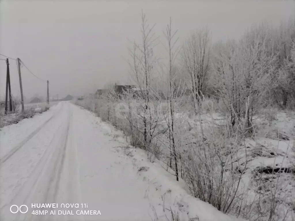 Участок в Вологодская область, Шекснинский муниципальный округ, д. ... - Фото 2
