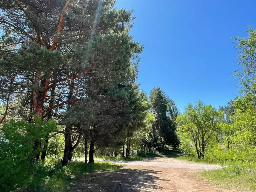 Участок в Саратовская область, Маркс  (9.25 сот.) - Фото 2