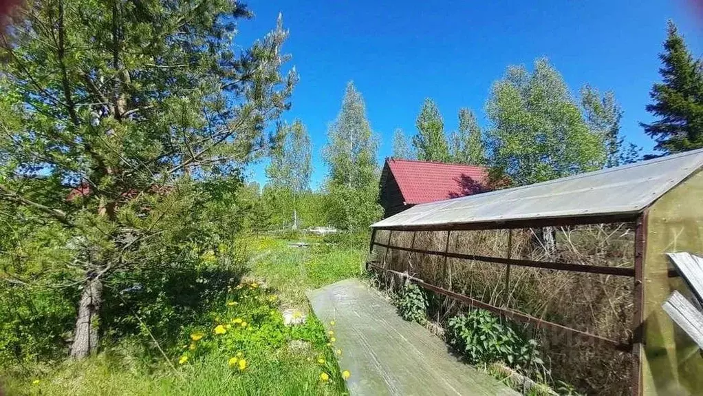 Участок в Новгородская область, Новгородский район, Савинское с/пос, ... - Фото 2