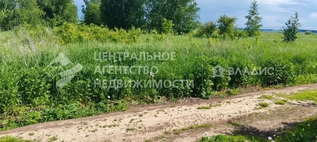 Участок в Рязанская область, Рязанский муниципальный округ, д. Рожок  ... - Фото 1