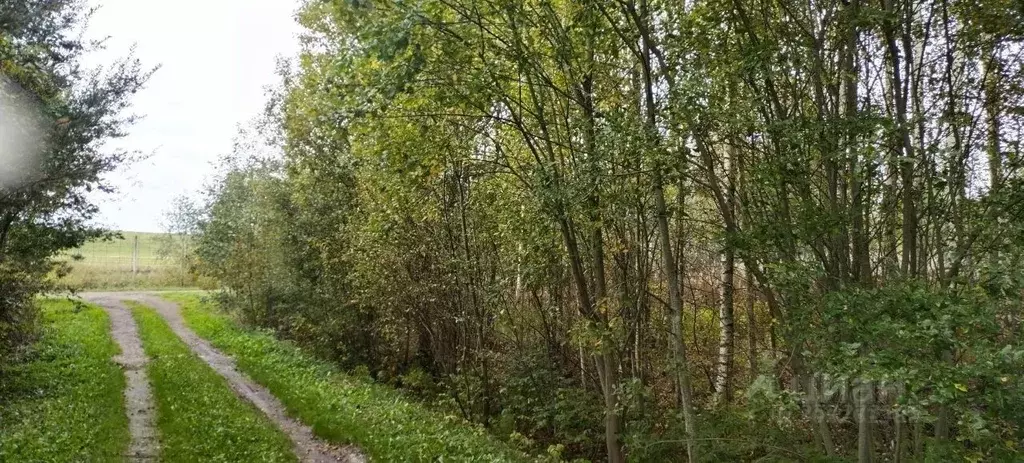 Участок в Ленинградская область, Всеволожский район, Куйвозовское ... - Фото 0