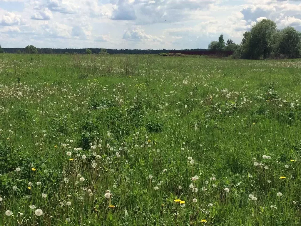 Участок в Тверская область, Вышний Волочек Вышневолоцкая мкр,  (10.5 ... - Фото 1
