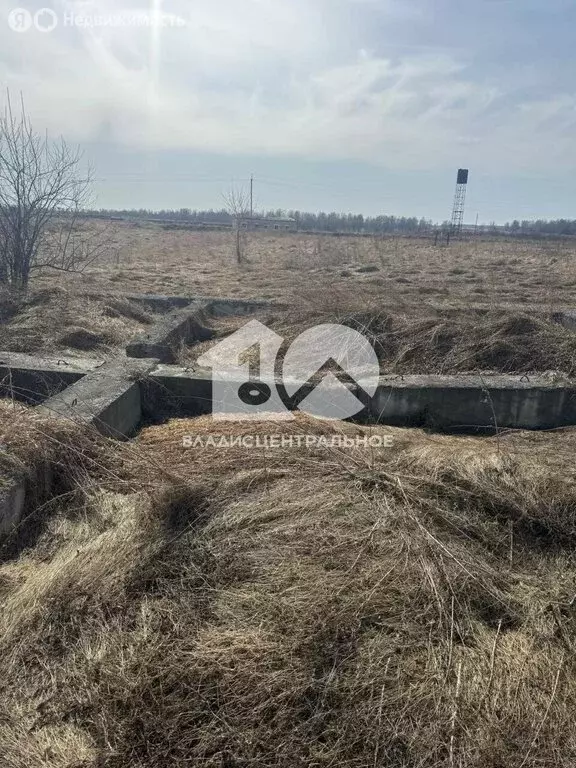 Участок в Искитимский район, Чернореченский сельсовет, село Старый ... - Фото 1