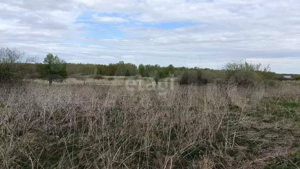 Дом 35 м на участке 21 сот. - Фото 1