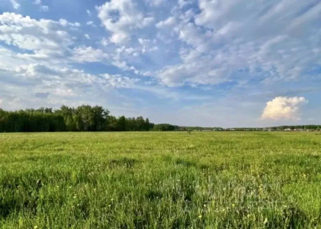 Участок в Московская область, Одинцовский городской округ, д. Дарьино  ... - Фото 1