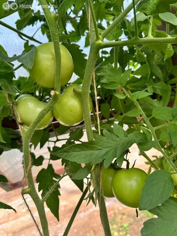 Дом в Маркова, ДНТ Светлое, 20А (186 м) - Фото 2