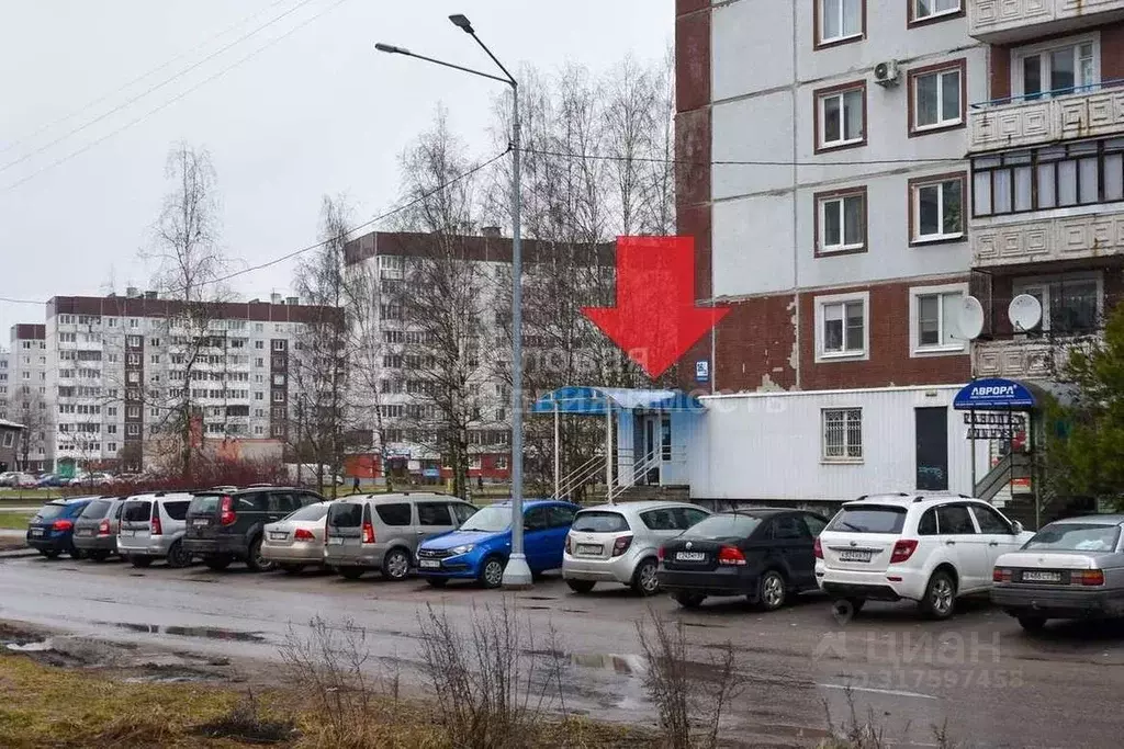 Помещение свободного назначения в Новгородская область, Великий ... - Фото 1
