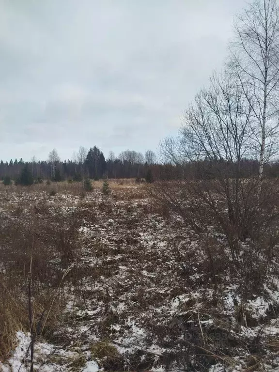 Участок в Московская область, Клин городской округ, д. Егорьевское  ... - Фото 2