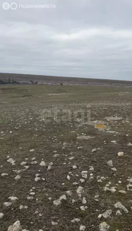 Участок в Черноморский район, село Новосельское (166.84 м) - Фото 2