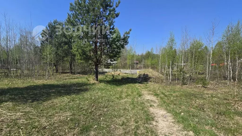 Участок в Чувашия, Чебоксары городской округ, Сосновка пгт, Травянка-1 ... - Фото 1