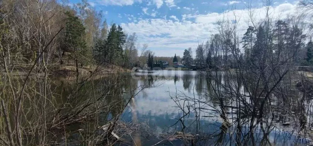 Участок в Новосибирская область, Новосибирский район, Барышевский ... - Фото 1