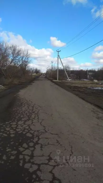 Участок в Белгородская область, Строитель Яковлевский городской округ, ... - Фото 2